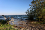 19.09.2024 ,Tutzing, Starnberger See

Hier nur Vorschaubilder !