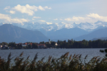 29.09.2024, Bernried, Starnberger See

Hier nur Vorschaubilder !