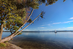 07.10.2024 ,Tutzing, Starnberger See

Hier nur Vorschaubilder !