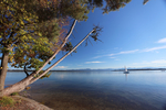 07.10.2024 ,Tutzing, Starnberger See

Hier nur Vorschaubilder !