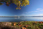 07.10.2024 ,Tutzing, Starnberger See

Hier nur Vorschaubilder !