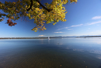 07.10.2024 ,Tutzing, Starnberger See

Hier nur Vorschaubilder !