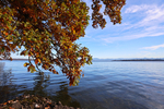 17.10.2024 ,Tutzing, Starnberger See

Hier nur Vorschaubilder !