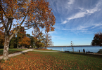 17.10.2024 ,Tutzing, Starnberger See

Hier nur Vorschaubilder !