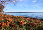 17.10.2024 ,Tutzing, Starnberger See

Hier nur Vorschaubilder !