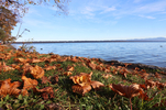 17.10.2024 ,Tutzing, Starnberger See

Hier nur Vorschaubilder !