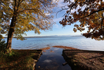 17.10.2024 ,Tutzing, Starnberger See

Hier nur Vorschaubilder !