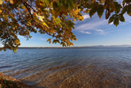 17.10.2024 ,Tutzing, Starnberger See

Hier nur Vorschaubilder !