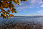 17.10.2024 ,Tutzing, Starnberger See

Hier nur Vorschaubilder !