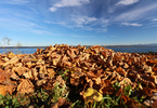 17.10.2024 ,Tutzing, Starnberger See

Hier nur Vorschaubilder !