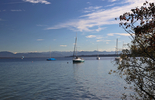 17.10.2024 ,Tutzing, Starnberger See

Hier nur Vorschaubilder !