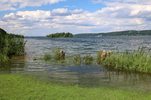 12.06.2024 ,Feldafing, Starnberger See

Hier nur Vorschaubilder !