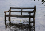 12.06.2024 ,Feldafing, Starnberger See

Hier nur Vorschaubilder !