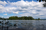 12.06.2024 ,Feldafing, Starnberger See

Hier nur Vorschaubilder !