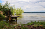 12.06.2024 ,Feldafing, Starnberger See

Hier nur Vorschaubilder !