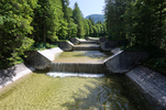 19.06.2024, Walchensee

Hier nur Vorschaubilder !