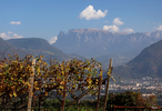 29.10.2024, Suedtirol, Meran und Umgebung, Eppan

Hier nur Vorschaubilder !