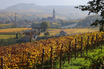 29.10.2024, Suedtirol, Meran und Umgebung, Eppan

Hier nur Vorschaubilder !