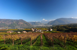 29.10.2024, Suedtirol, Meran und Umgebung, Eppan

Hier nur Vorschaubilder !