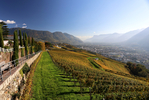 29.10.2024, Suedtirol, Meran und Umgebung, Dorf Tirol

Hier nur Vorschaubilder !