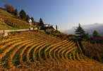 29.10.2024, Suedtirol, Meran und Umgebung, Dorf Tirol

Hier nur Vorschaubilder !