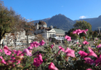 30.10.2024, Suedtirol, Meran und Umgebung, Meran

Hier nur Vorschaubilder !