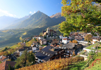 30.10.2024, Suedtirol, Meran und Umgebung, Schenna

Hier nur Vorschaubilder !