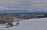 08.02.2021, Tutzing bis Bernried, Starnberger See

Hier nur Vorschaubilder !