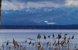 08.02.2021, Tutzing bis Bernried, Starnberger See

Hier nur Vorschaubilder !